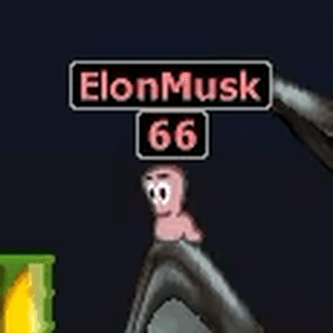 Elon's custom skin on Worms Armageddon